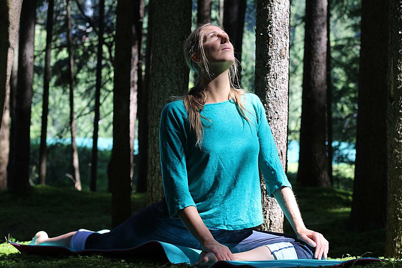Forest Yoga Picture